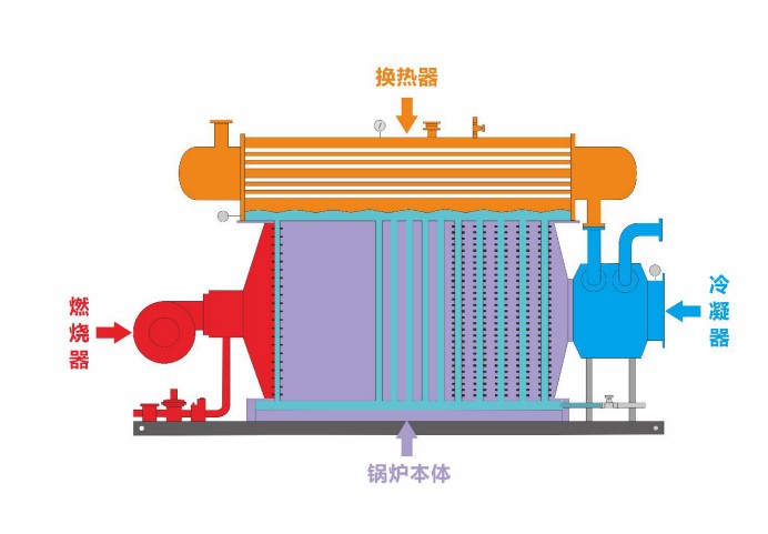 1741675832578676.jpg 8b.jpg