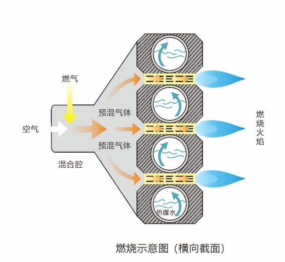 1741675839337627.jpg 8c.jpg